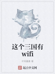 這個三國有wifi